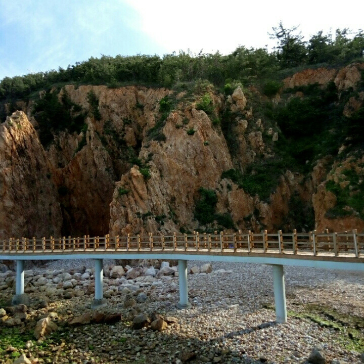 田园