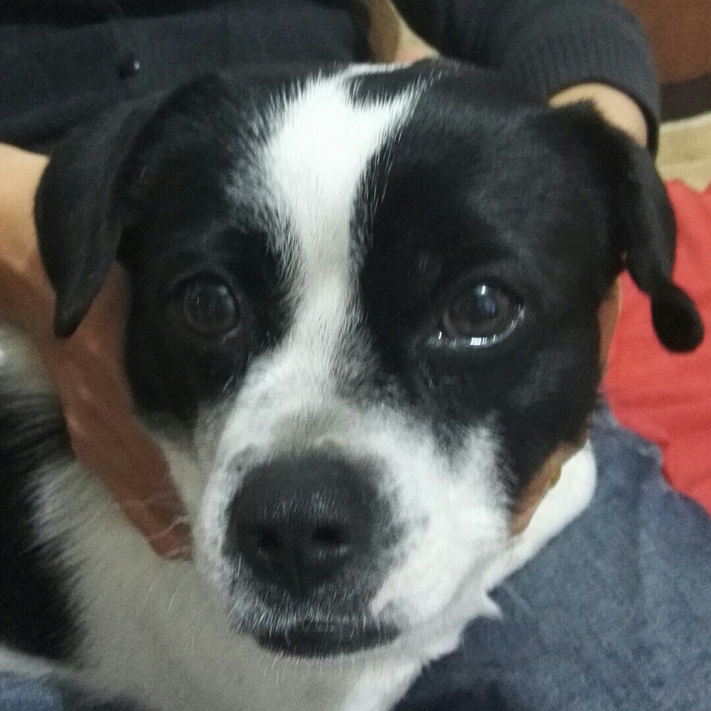 风隐