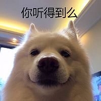 你，听得到么？