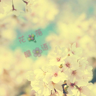 花落瓣语