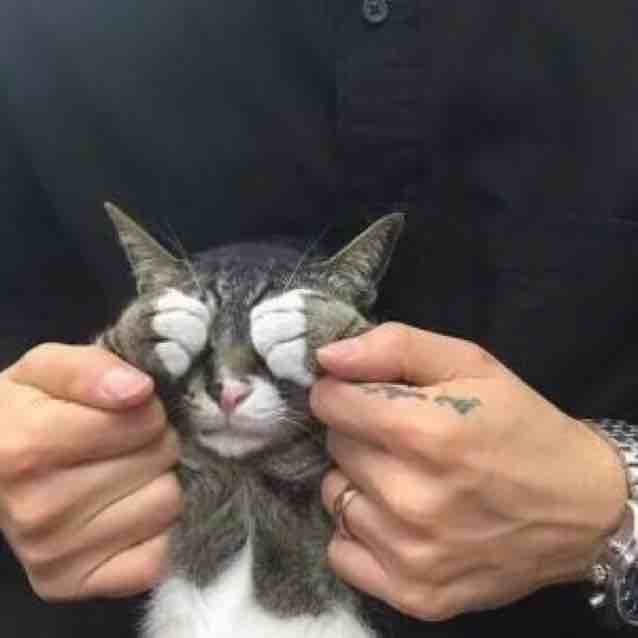 HHFJG