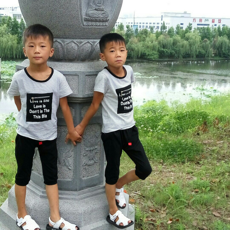 子桐子硕