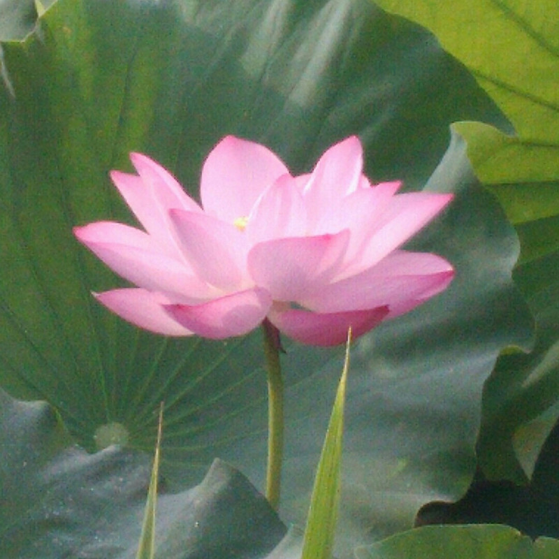 缘来e时空
