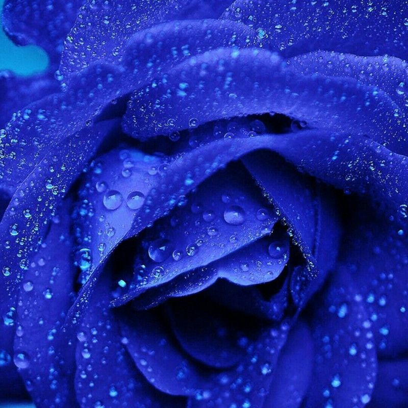 爱笑的宝贝*^_^*