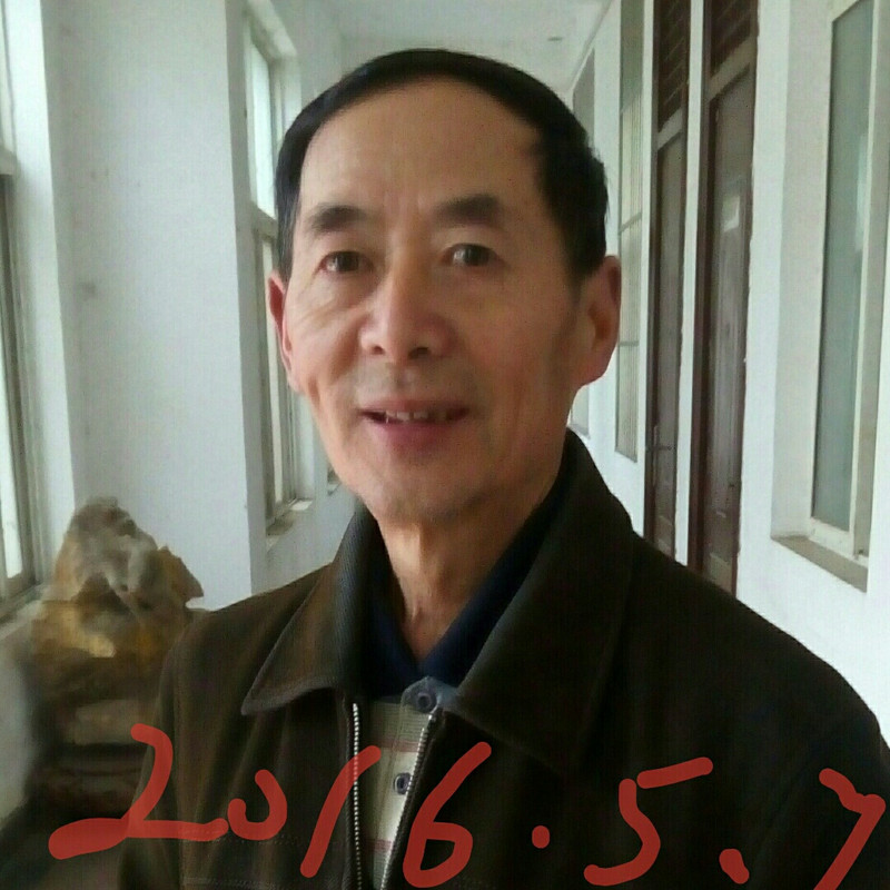 森林木