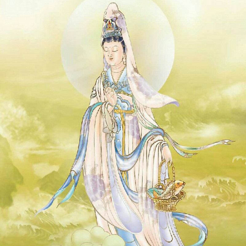 紫龙