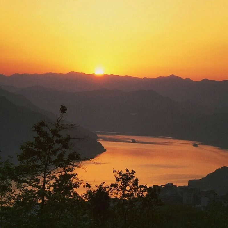 蔷薇