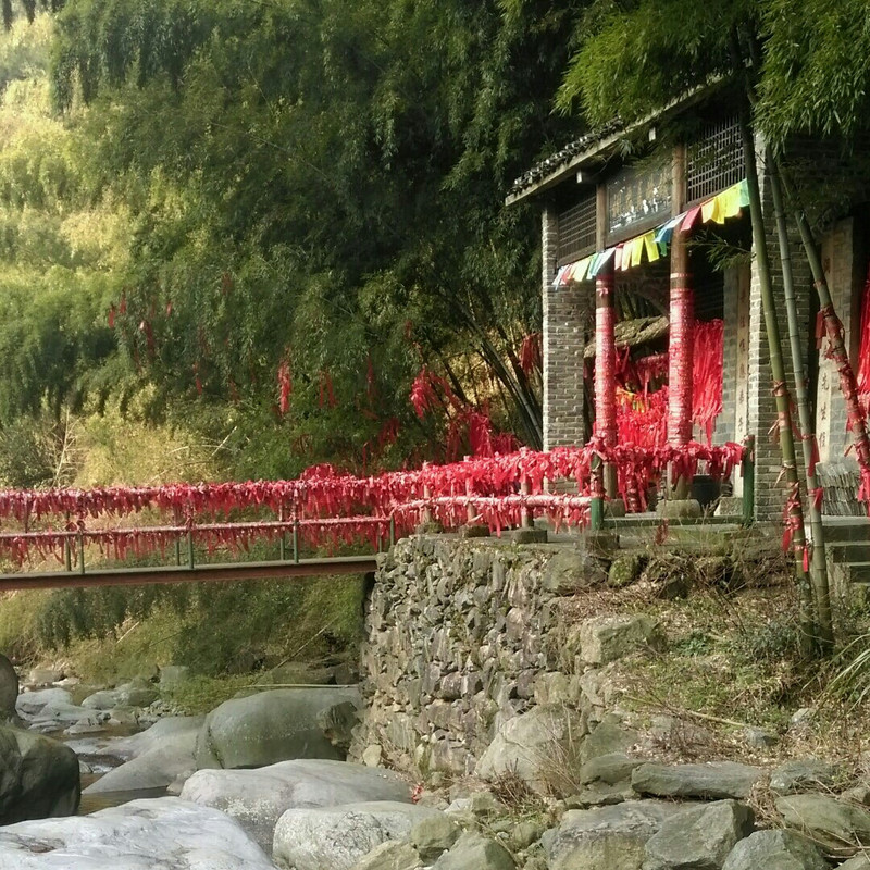 健身养生旅游美食