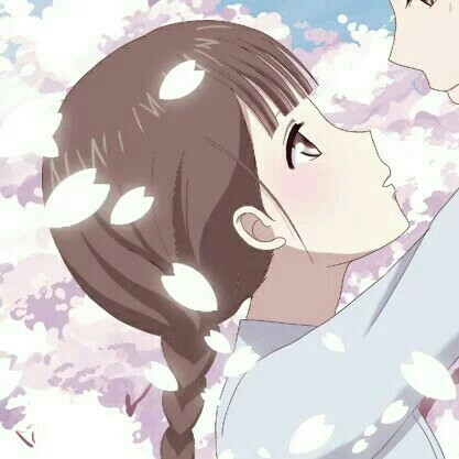奶橘