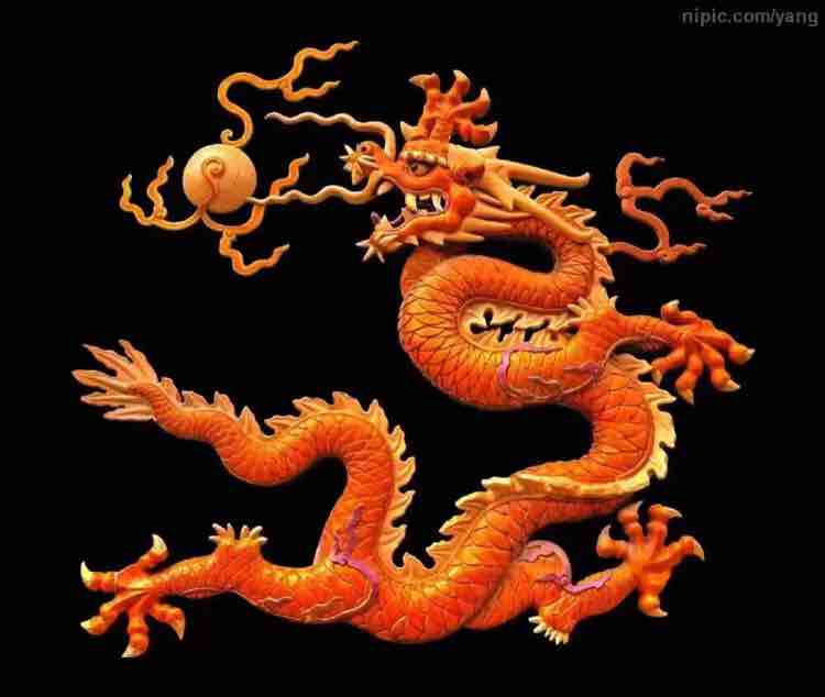 河马