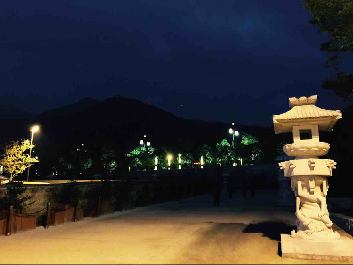 明阳子夜生