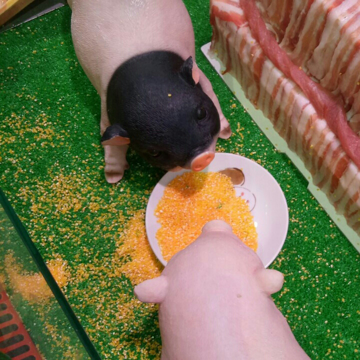 馨欣