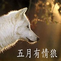 五月有情狼