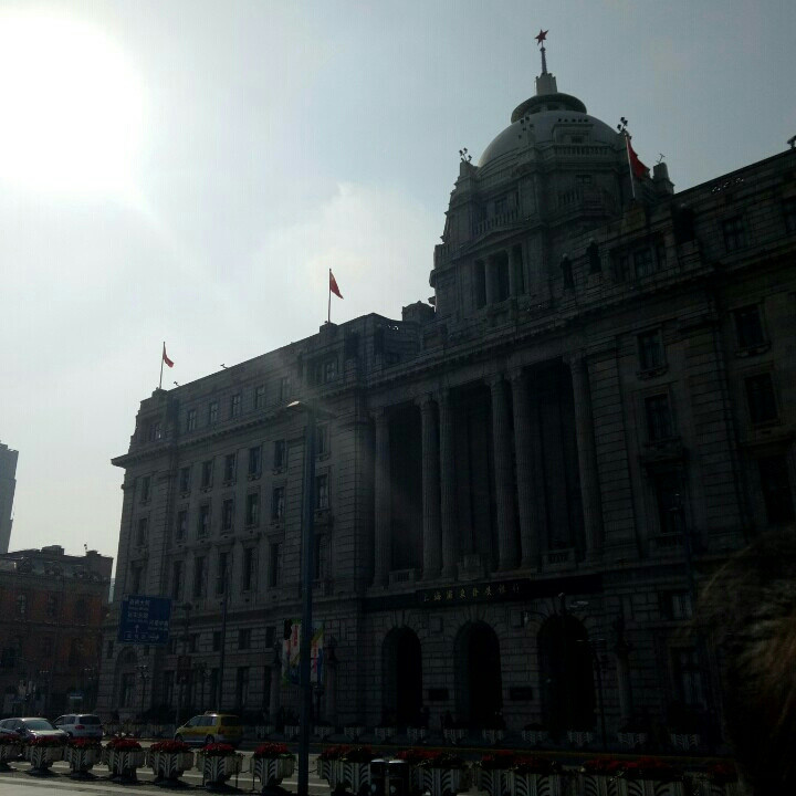 杨