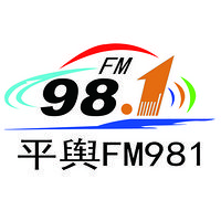 平舆FM981