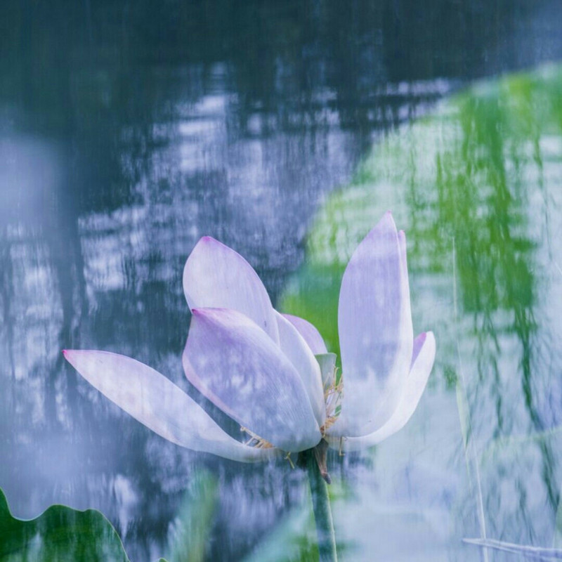 阳光