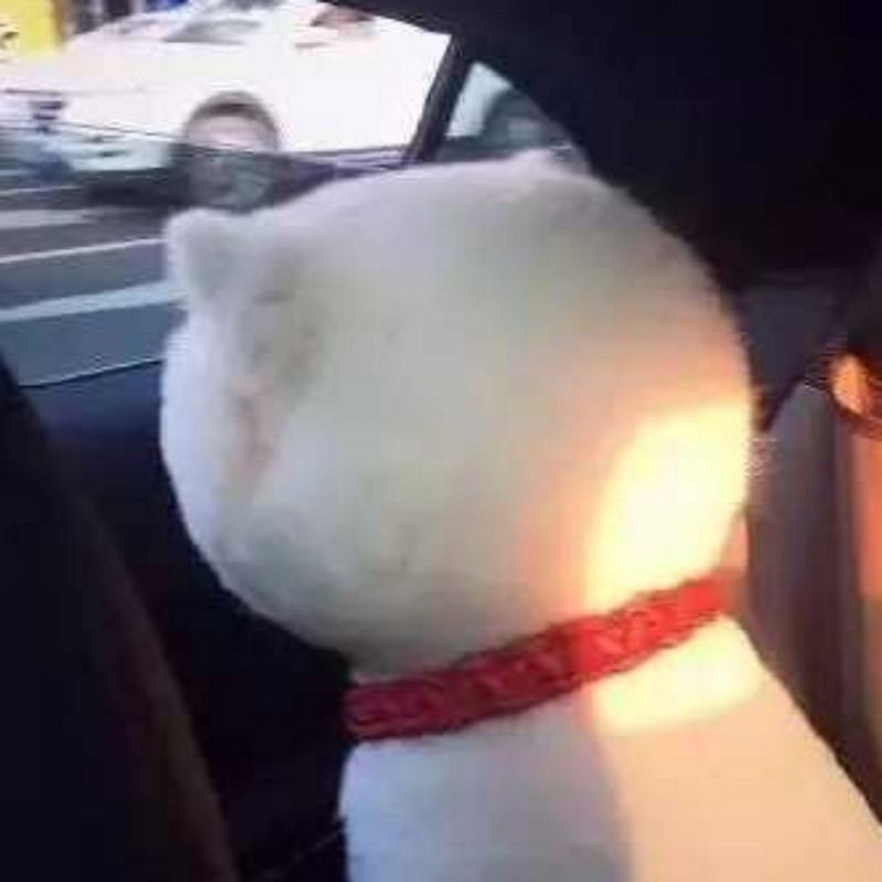 大江