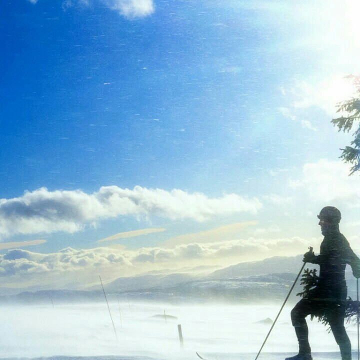 安放人生的雅舍