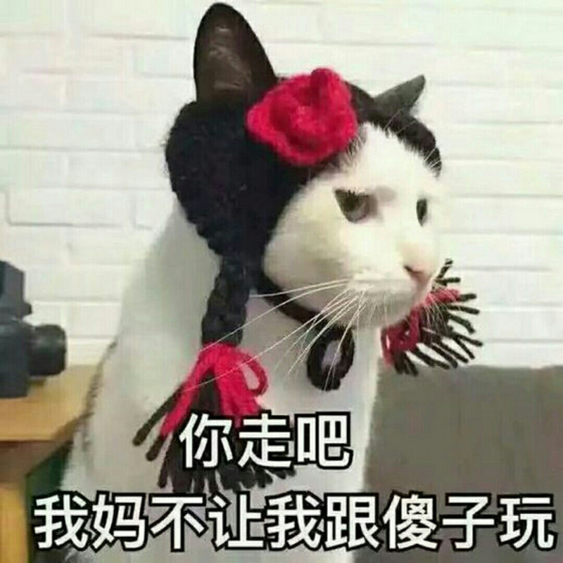 余小包子