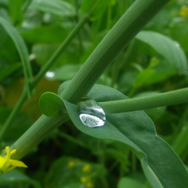 落花不言eoom