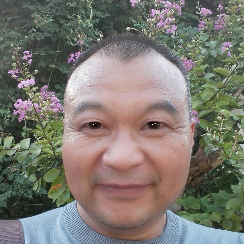 蔡平