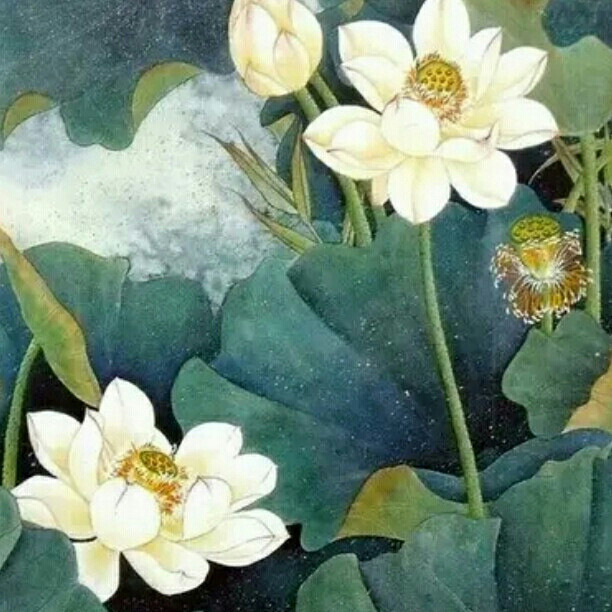 婷