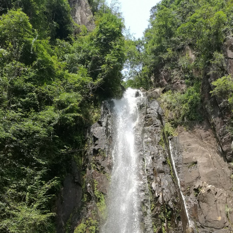 赵金美