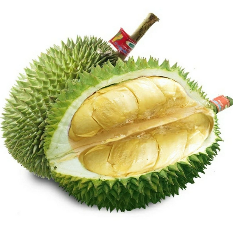 骑行天下