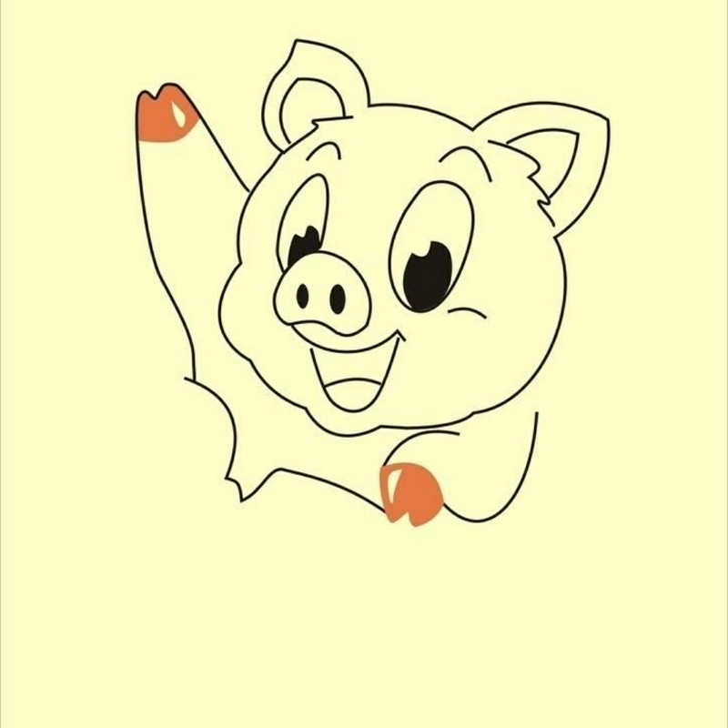 宽  窄