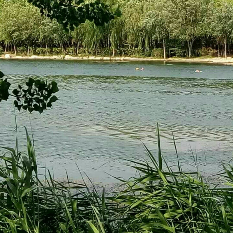王春祥
