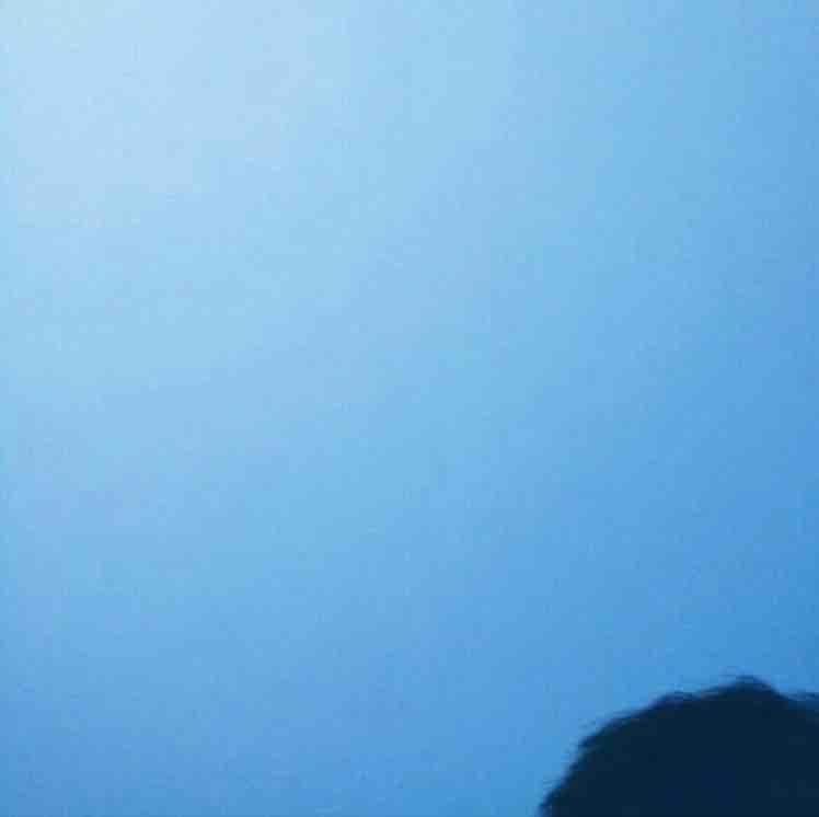 ZHANGFL-