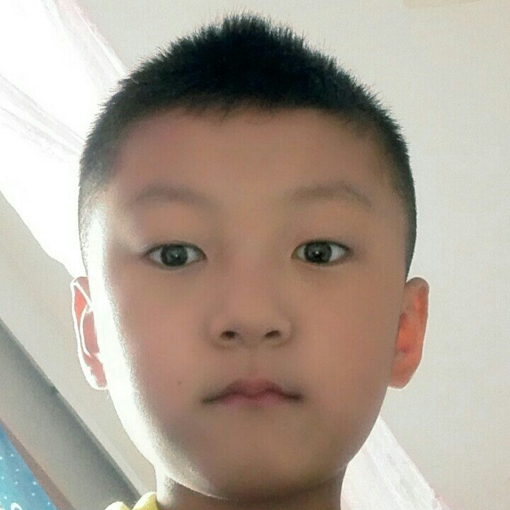 王小刚