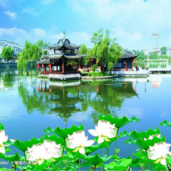 我就是二二