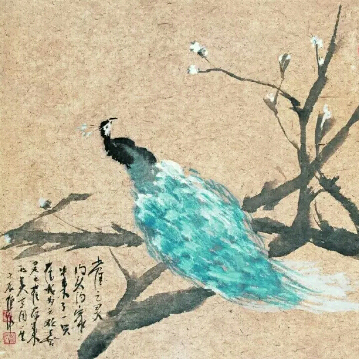 小星辰ai