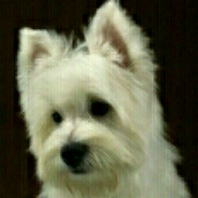 康老