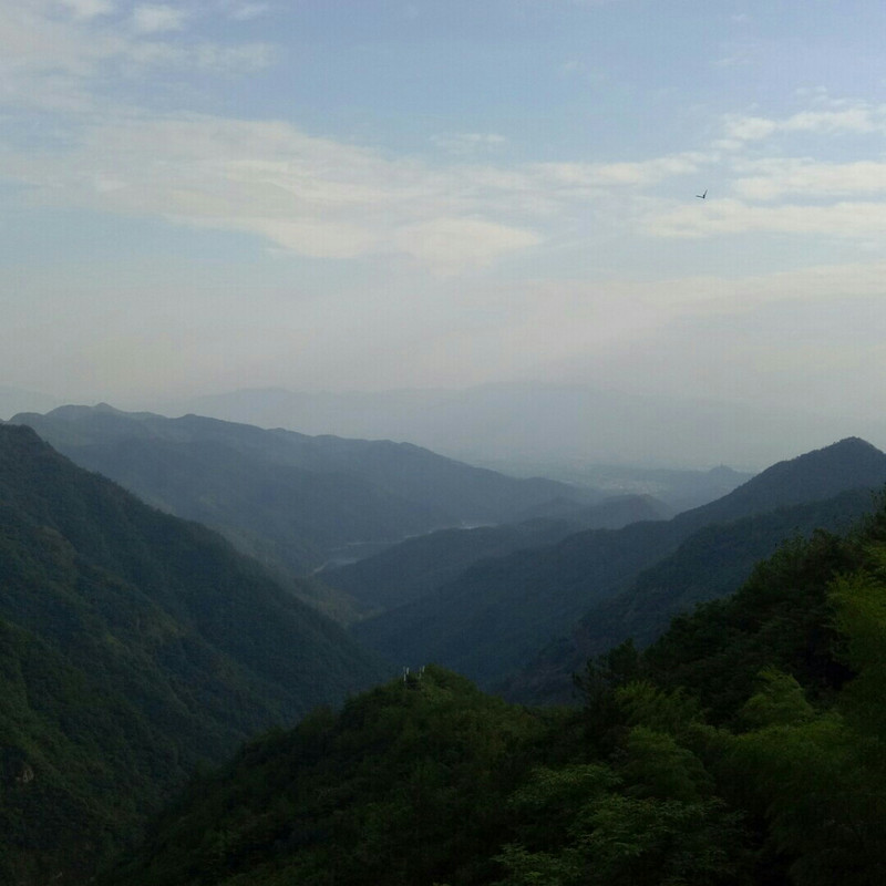 没有如果