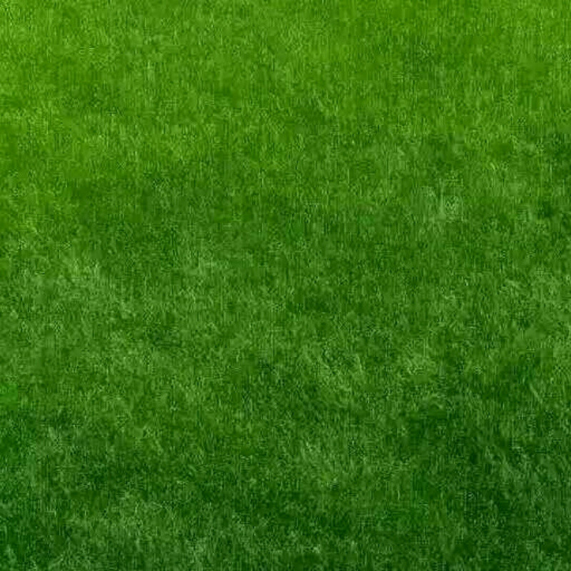 木的立方