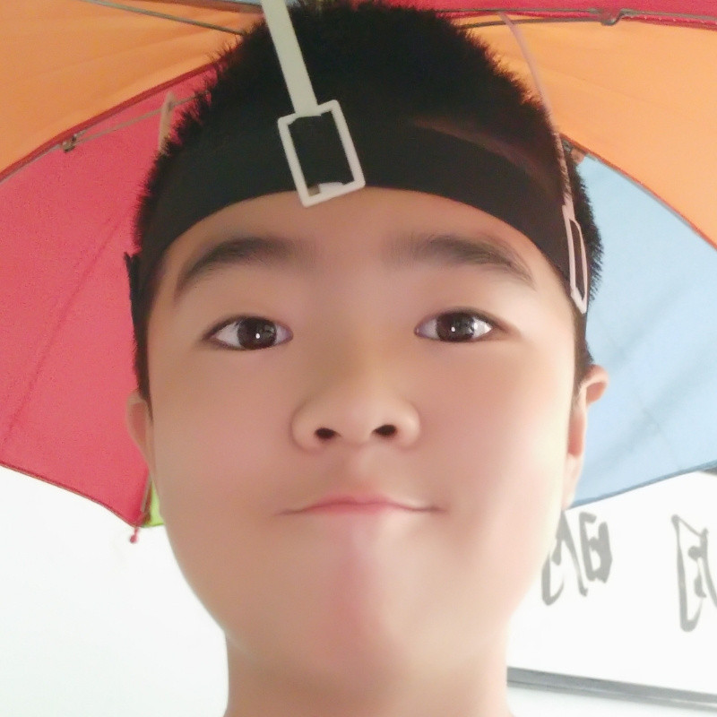 鼠来宝张