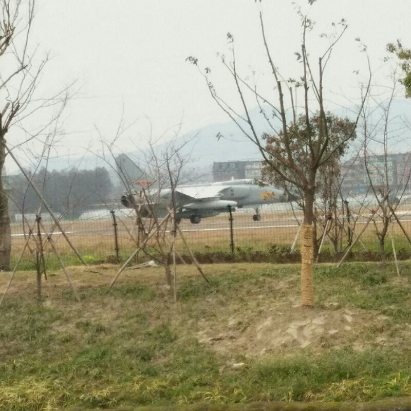 开心就好