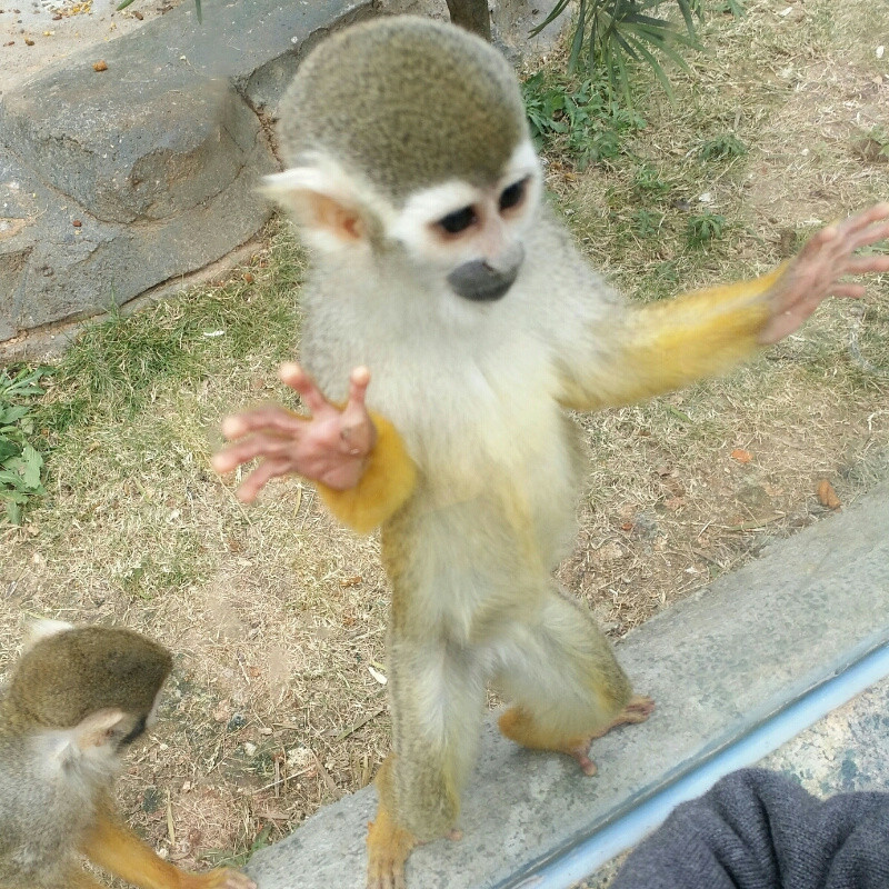 A .....宁缺毋滥