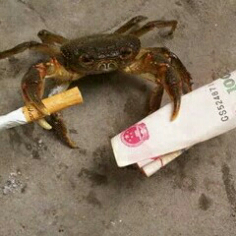 终相遇，却一人