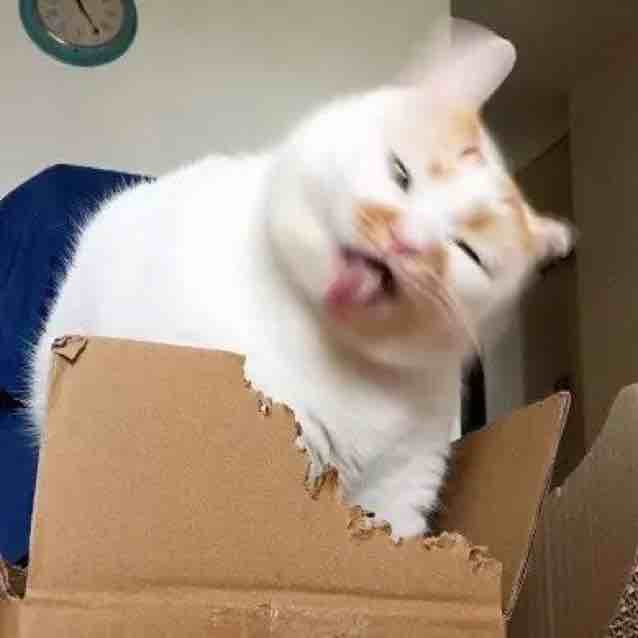 Ttttttyo