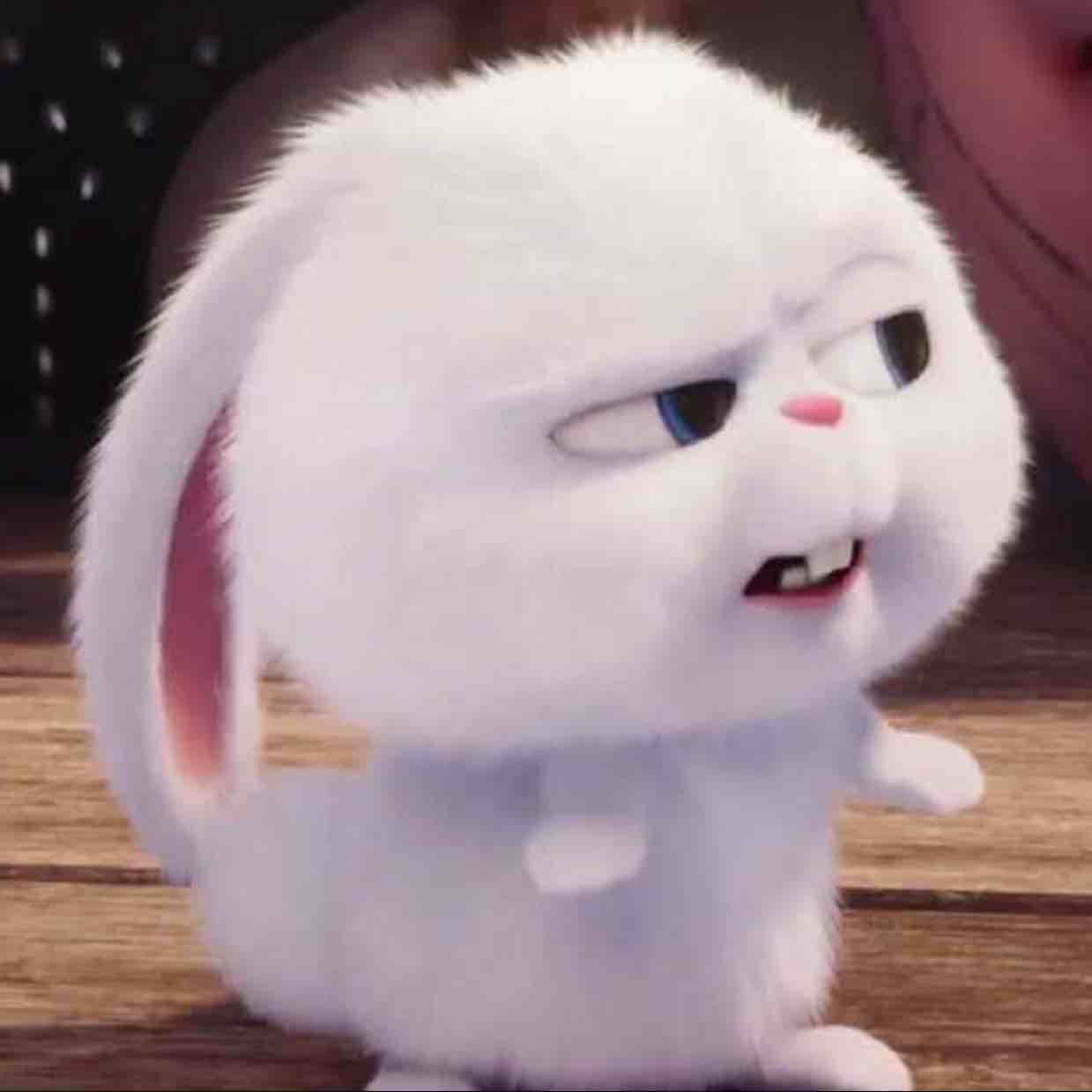 小晴ZQ