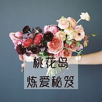 桃花岛炼爱秘笈