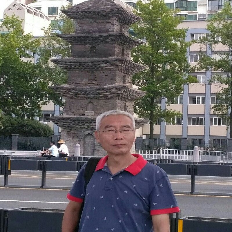 芦苇中人