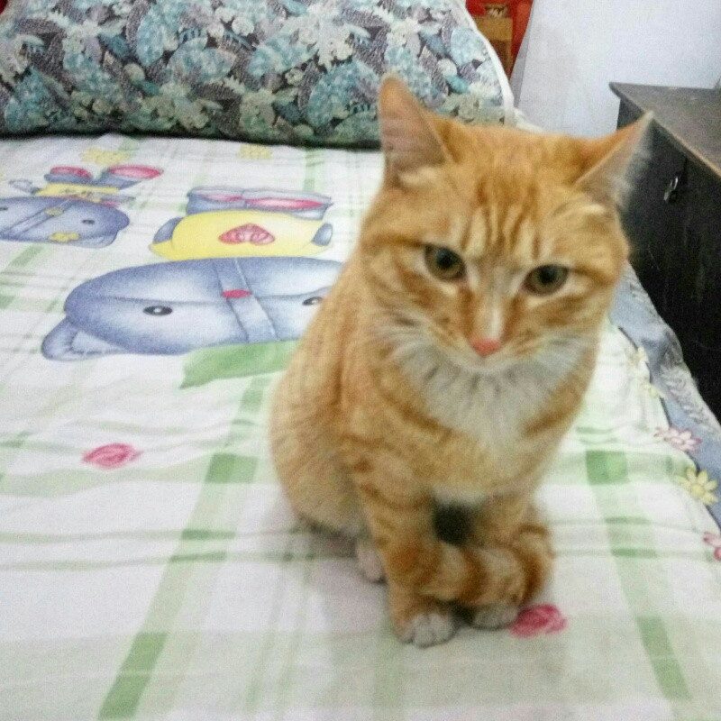 三州士