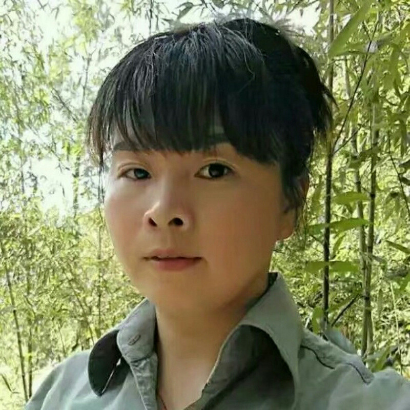 快乐奔跑
