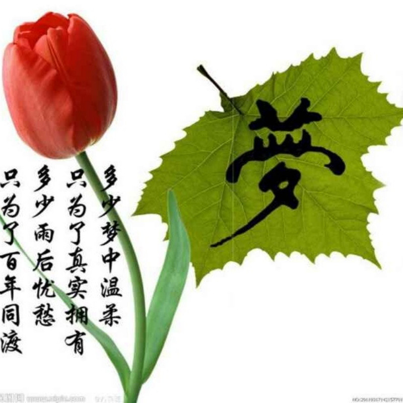 素华。