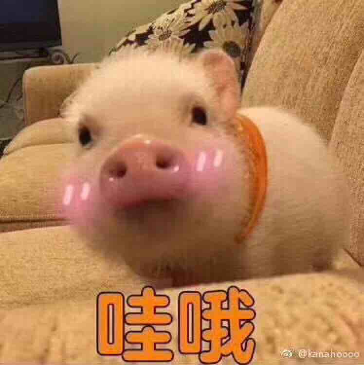 zxY