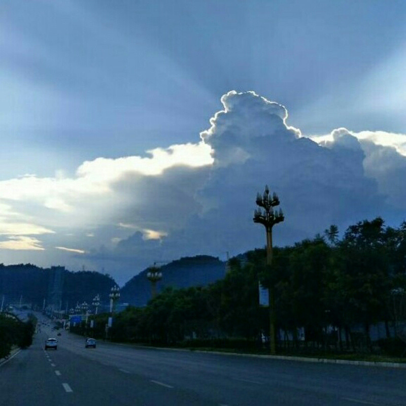 阿凡达